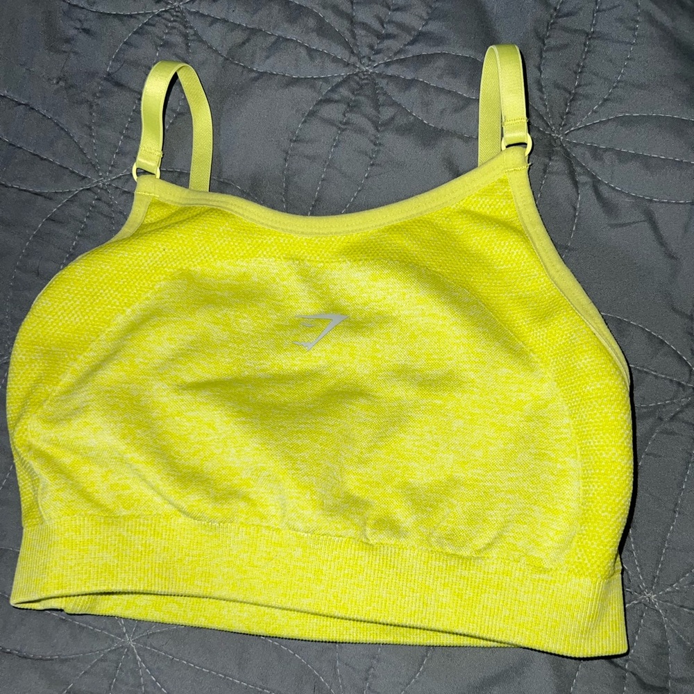 Gymshark sports bra